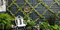 landscape-1464037902-gardening-design-ideas-1.jpg (980×490)