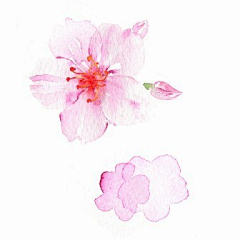 Sarah`acai采集到知画·古香