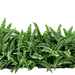 采集图片