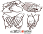 kibbitzer posted "Hands reference sheet 12 -PREVIEW-" - jazzmynejohnson180042@gmail.com - Gmail