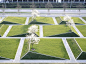 This may contain: an aerial view of a grassy area with trees in the center and buildings in the background