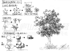 海口7号采集到手绘图片收集