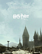 Harry Potter and the Deathly Hallows: Part 2 (2011) 哈利·波特与死亡圣器(下)