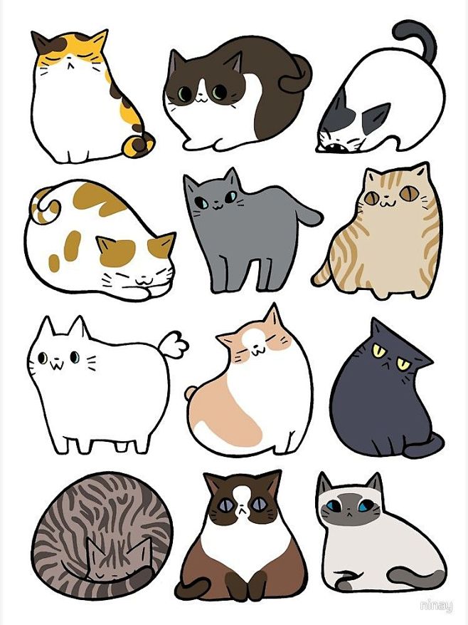 Cats Cats Cats Poste...