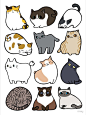 Cats Cats Cats Poster by ninay  Redbubble
