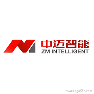 中迈科技Logo设计