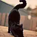 伸懒腰,黑猫 #萌#