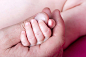 婴儿手势与大人的手高清图片 - 素材中国16素材网