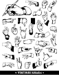 手绘手势动作矢量素材，素材格式：EPS，素材关键词：手势,手掌,手指,手型,手语
