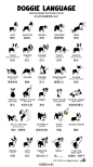 [【插画】你了解狗狗多少肢体语言？] 转给养狗的主银吧！