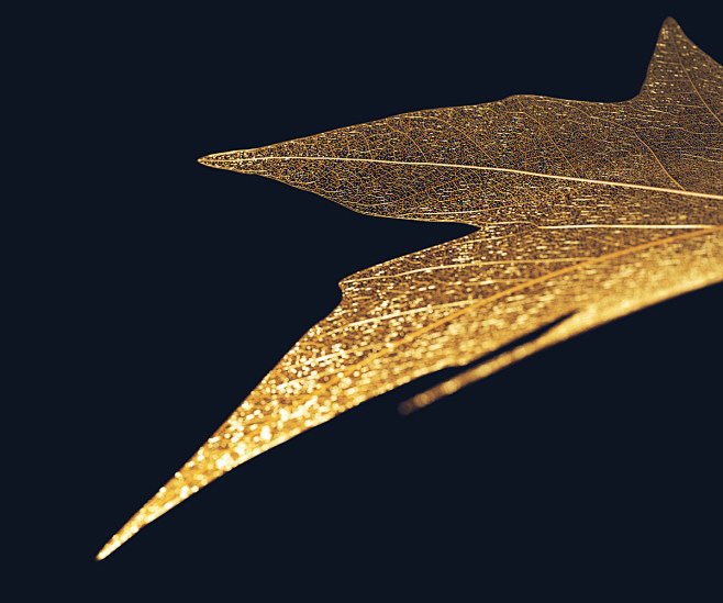 gold leaf leaves lux...