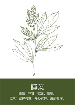 嘿YOYOy采集到药材 花