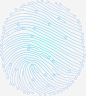 矢量线描指纹