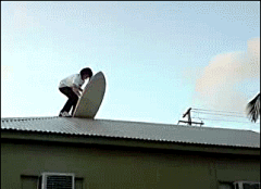独孤的嘤嘤嘤采集到GIF