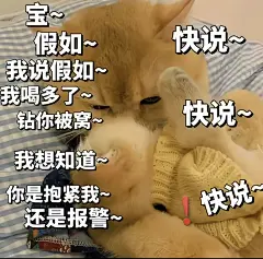 这表情包只能发给男朋友，发给别人会……_05