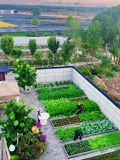 多听FM采集到庭院菜园