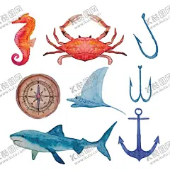 手绘海洋生物   【酷图网】手绘海洋生物,海马,小龙虾,海胆,贝壳,海草,螃蟹,水母,鱼,海底世界,海洋馆,海洋世界,海底,海洋,水族馆,卡通海洋,卡通海底,海底总动员,海豚,海底背景,海洋背景,美人鱼,水族世界,海洋生物,海底生物,海底潜水,海底珊瑚,海底鱼类,海洋公园,矢量素材,设计,生物世界,