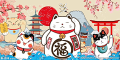 凯文ZK采集到猫