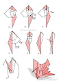 这个进阶版的千纸鹤头部和身体部分与平时千纸鹤的折法基本一样，区别就在于尾部，这款千纸鹤的尾部被做成了如同是像孔雀开屏那样的扇形结构。 #手工# #纸艺#