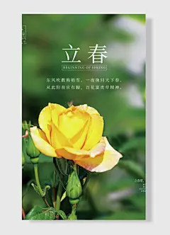 晴雨水均中国传统二十四节气立春节日海报绿色简约风花朵黄色-图巨人