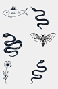 花朵蛇蝴蝶简笔画动植物免抠素材-众图网