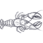 d62dd9a2910c9ebfafe2803469160811fca4aa25dea09-uwXyNN_fw1200