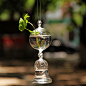 ZAKKA 日式杂货 球形玻璃吊挂水培小花瓶/花器 带挂钩