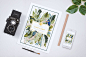 Wedding Stationery | Ashley & Edwin : A South African Bushveld Inspired Save The Date featuring the South African Kingfisher Birds.