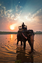 Photograph Chitwan park, Nepal by Alex A. Belov on 500px