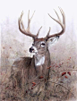 Deer in art | Whitetailed Deer and other wildlife art by Larry K. Martin #whitetaildeerwatercolor #whitetaildeerpainting