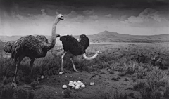 SolaSisyphe采集到Hiroshi Sugimoto
