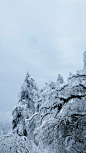 雪