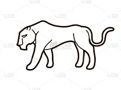 雌狮,插画,黑色,可爱的,野生动物,狮子,哺乳纲,动物