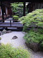 Japanese garden: