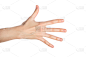 手,做手势,数字5,白色背景,女人,分离着色,背景分离,一个人,拇指