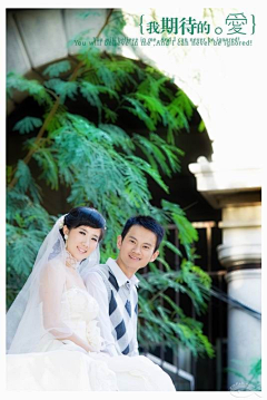 何青采集到婚嫁（厦门小鱼网）