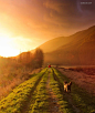 Lizzy Gadd 孤独的镜头