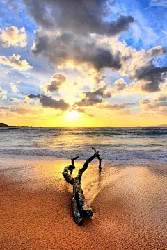 iPhone 风景高清壁纸10089535_iPhone6壁纸|iPhone5壁纸|iPhone4s壁纸|iPad2壁纸免费下载-苹果园