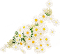 中澤季絵 : イラストレーター 中澤季絵（なかざわ きえ）Web site
