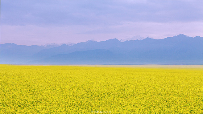 风景