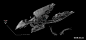 gary-sanchez-gary-sanchez-pearce-xcar-wip-02.jpg | STAR ATLAS