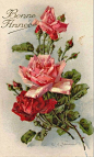 创意如此简单玫瑰颂 - Présentation de l'album Les roses de C. Klein1玫瑰平面插画设计 玫瑰花不一 （图片15张 ）原文地址：