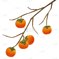 用户C3wadxmx采集到待归类采集