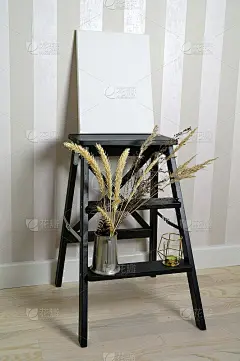 画布上的模型画和干燥的草药，以条纹墙为背景。