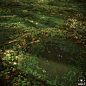 Swamp Substance
