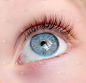 蓝色眼睛,女人,水平画幅,蓝色,特写,眉毛,人的眼睛,睫毛,人的脸部