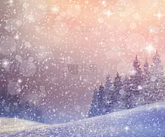 白雪覆盖的森林上冬日的日落。冬天夜晚的柔和色调。圣诞树在雪中。降雪。冬夜的背景。