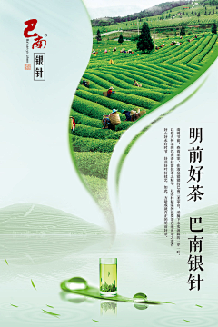 设计系采集到茶