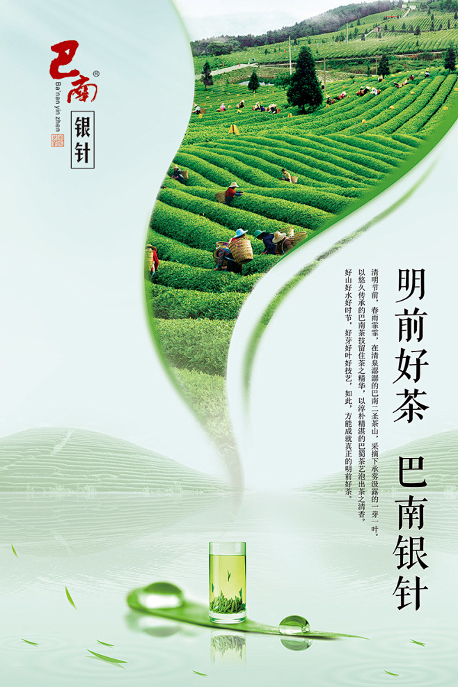 重庆茶叶集团推广海报