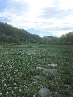 阿筝呀采集到风景/玩的开心